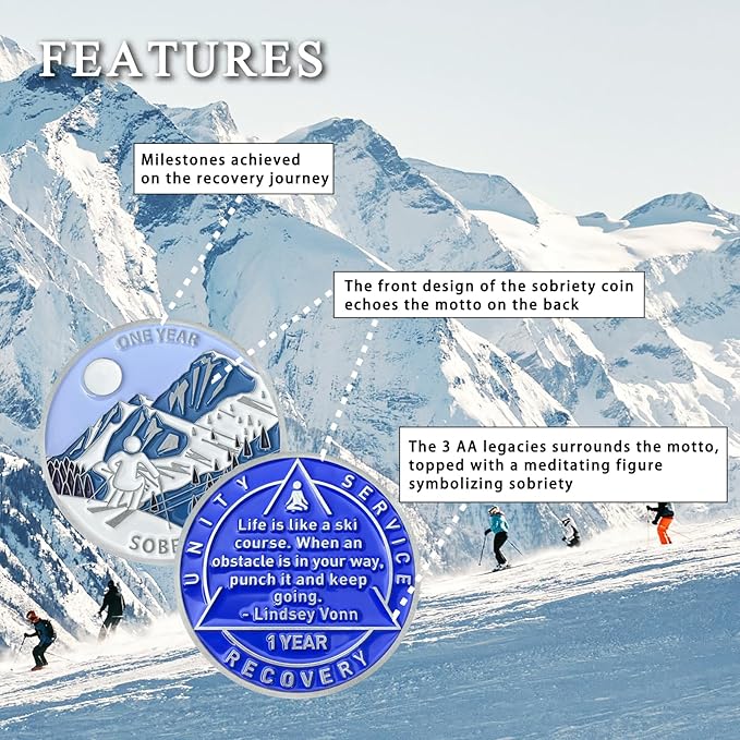 1 Year Sobriety Coin Sobriety Chips AA Chip AA Coins Sober Token Recovery Medallion NA Chips NA Coins from 1 to 12 Months Plastic case Included-Baking Paint Process