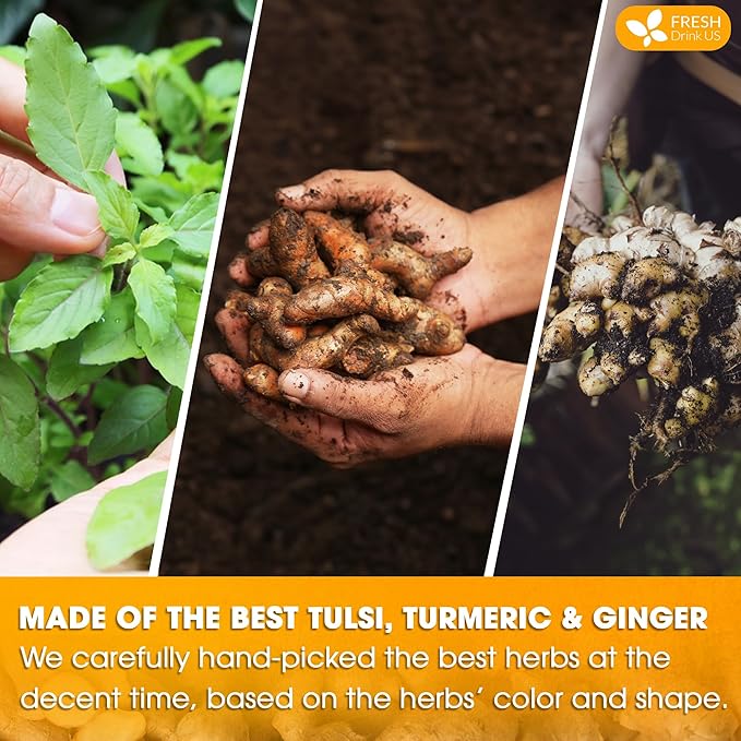 FreshDrinkUS, Premium 35 Tulsi Turmeric Ginger Tea Bags, 100% Natural & Pure from Tulsi Holy Basil Leaves, Turmeric and Ginger. Made with Natural Material Tea Bags. No Sugar, No Caffeine, Vegan.