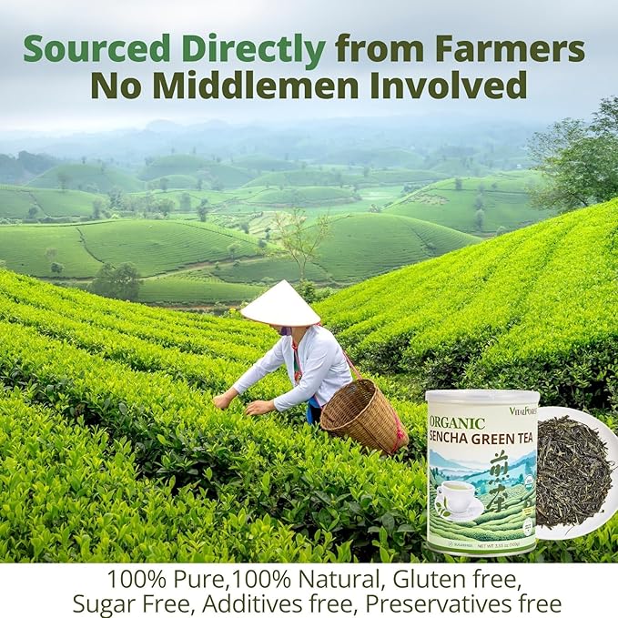 Organic Sencha Green Tea Loose Leaf – 3.53oz/100g, USDA Organic, Whole Leaf Green Tea, VitalForest Premium Steam-Fixed Green Tea, Mild Umami Taste