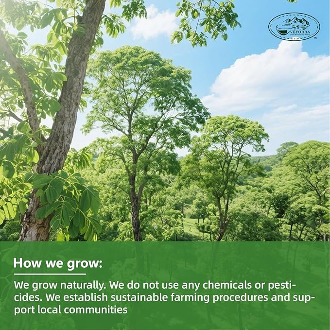 Veyorra Moringa Tea,Loose Leaf Moringa Herbal Tea. No Sugar, No Caffeine, No Gluten, Vegan(110 Bags)