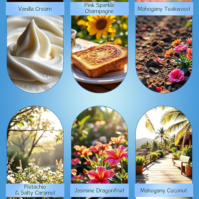 Car Air Freshener Diffuser 6 Pack Hanging Air Freshener, Vanilla Cream, Pink Sparkle Champagne, Mahogany Teakwood, Pistachio & Salty Caramel, Jasmine Dragonfruit and Mahogany Coconut Scents