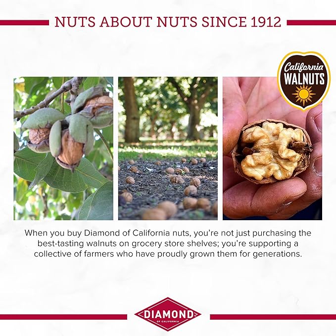 Diamond of California Salted Dark Chocolate Walnut Snack Nuts, 4 oz. (4 Pack)