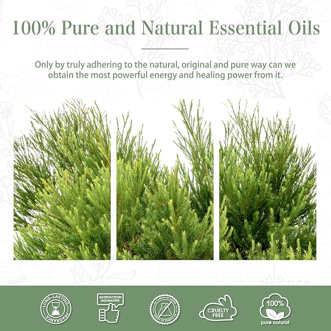 Tea Tree 3.38fl.oz Essential Oil, PHATOIL Pure Aromatherapy Oils for Diffuser, Humidifier, Perfect for DIY Soap, Candle, Bath Bombs Making(100ml)