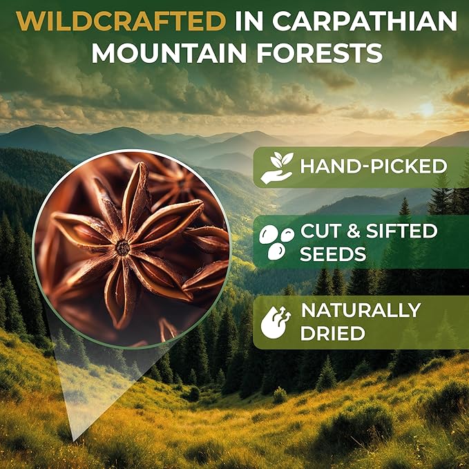 50 Bags Dried Anise Seeds Anaise Seeds Herb Tea (Pimpinella Anisum) - 50 Count 1,5 g Bags Anise Seed Herbal Tea Semilass De Anis