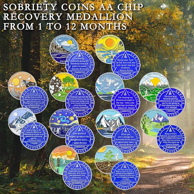 1 Year Sobriety Coin Sobriety Chips AA Chip AA Coins Sober Token Recovery Medallion NA Chips NA Coins from 1 to 12 Months Plastic case Included-Baking Paint Process