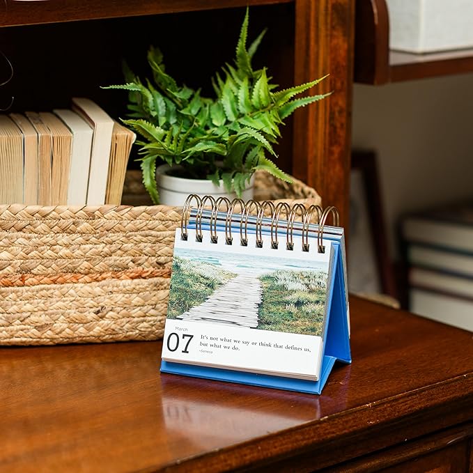 2025-2026 Stoic Meditations Perpetual Calendar: 366 Stoic Quotes for Reflection and Growth Daily Flip Calendar