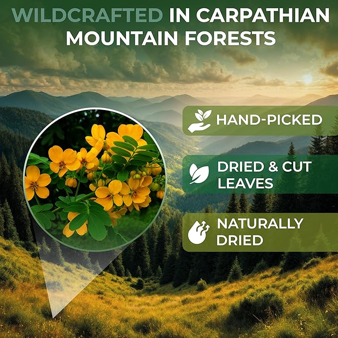 100 Bags Senna Leaf Senna Leaves Tea Herbal Tea (Senna Alexandrina) - 100 Count 1.5g Bags Hoja De Sen Hojas De Sen Para Te