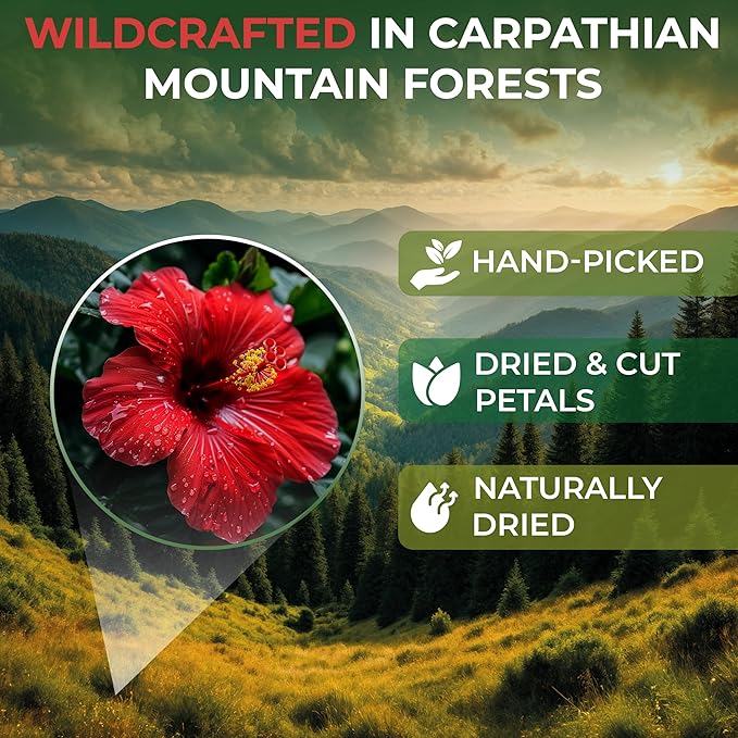 100 Bags Dried Hibiscus Flower Tea Herbal Flor De Jamaica (Hibiscus) - 100 Count 1.5g Tea Bags Dry Dried Flowers Herb Hibisko
