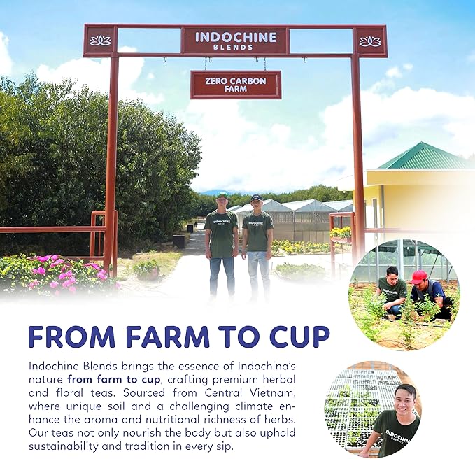 Indochine Blends Cooling Tea | Oolong, Artichoke, Butterfly Pea & Peppermint | Sugar-Free, Caffeine-Free Herbal Tea | Vibrant Blue | Herbal Tea for Relaxation | 4.4 oz | 50 Corn-Fiber Pyramid Bags