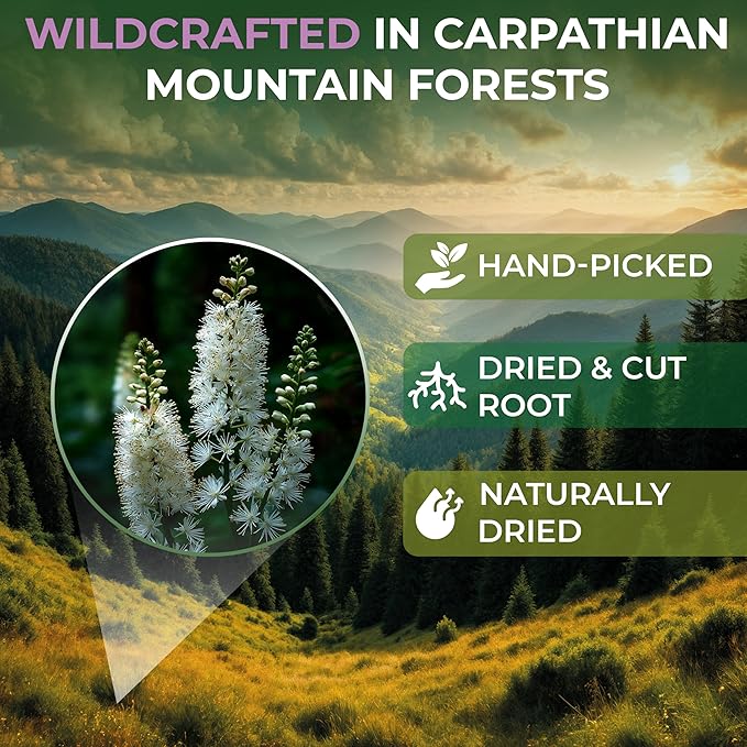 50 bags Black Cohosh Tea Black Cohosh Root Herbal Tea (Actaea racemosa) - 50 Count 2 g Tea Bags Herb Tea Cohosh