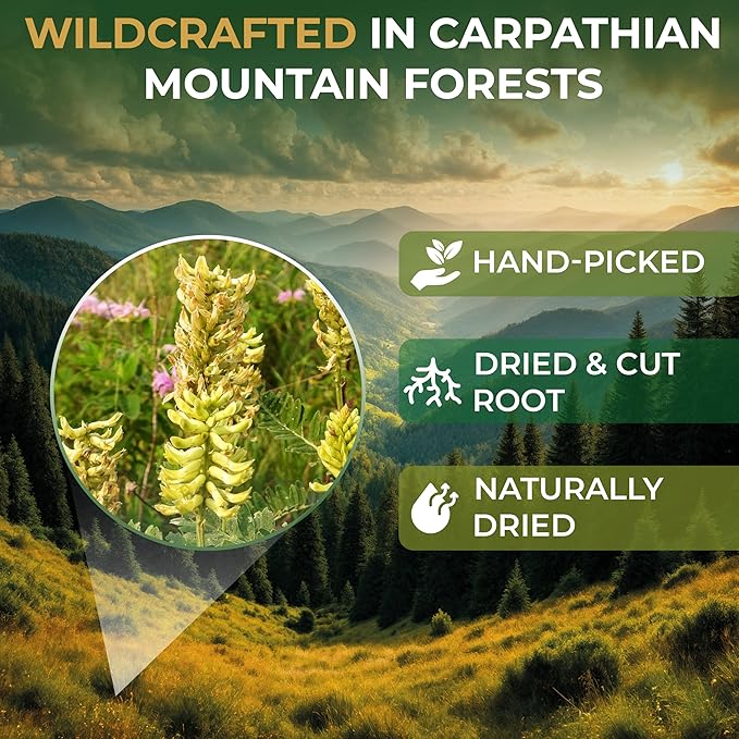 4 oz. Astragalus Root Herbal Tea – 113g Dried Astragalus Root Tea Huang Qi Raíz de Astrágalo