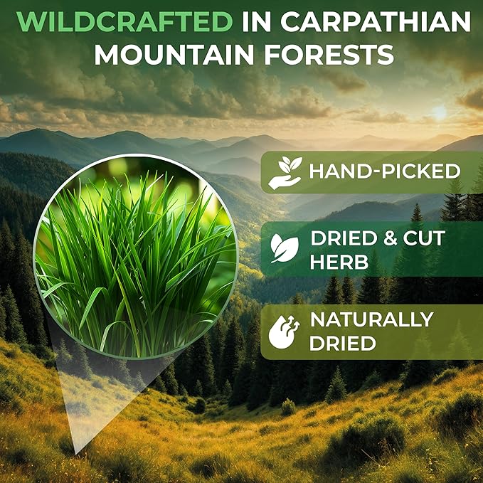 100 Bags Dried Lemongrass Tea Lemon Grass Leaf Herbal Tea Zacate De Limon (Cymbopogon) - 100 Count 1.5g Bags Lemongrass Chai Herb Limoncillo (Hierba Limon)