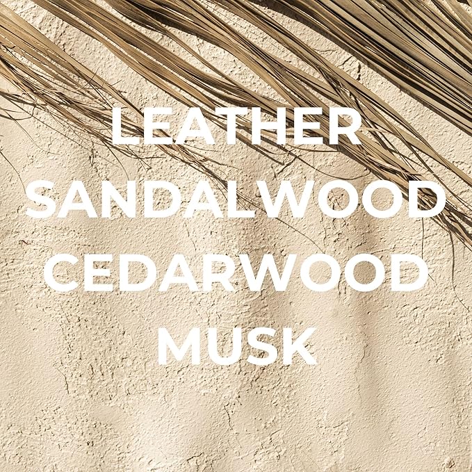 Bright Spot Bohemia Car Air Freshener - Premium Car Hanging Air Freshener, Long-Lasting Fragrance for Auto and Home | Light & Woody | Jasmine, Bergamot, Santal, Woods, Musk | Non-Toxic, Vegan | 2 Pack