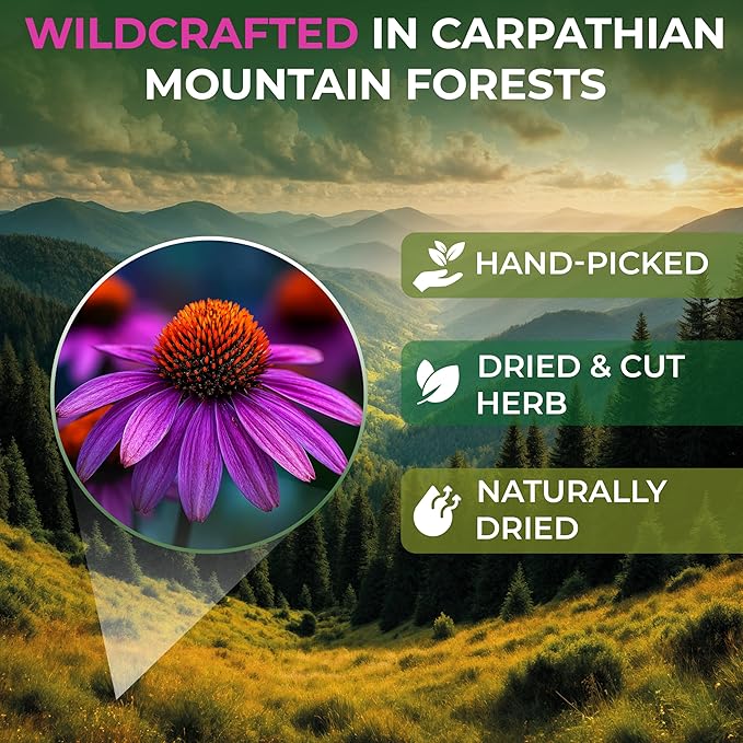 4 oz. Dried Echinacea Herb Herbal Tea (Echinacea purpure) - 113g Equinácea Herb Tea