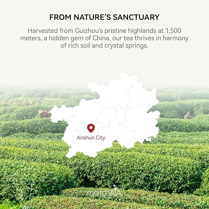 MatchAiA Organic Ceremonial Matcha Green Tea Powder - Premium Ceremonial Grade, First Spring Harvest, USDA Certified, 100% Pure - Sugar Free, Gluten Free (60g / 2.1oz Tin)