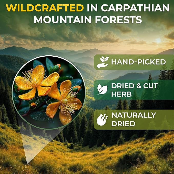4 oz. St Johns Wort Herb Herbal Tea (Hypericum) - 113g Hierba De San Juan Herb Tea