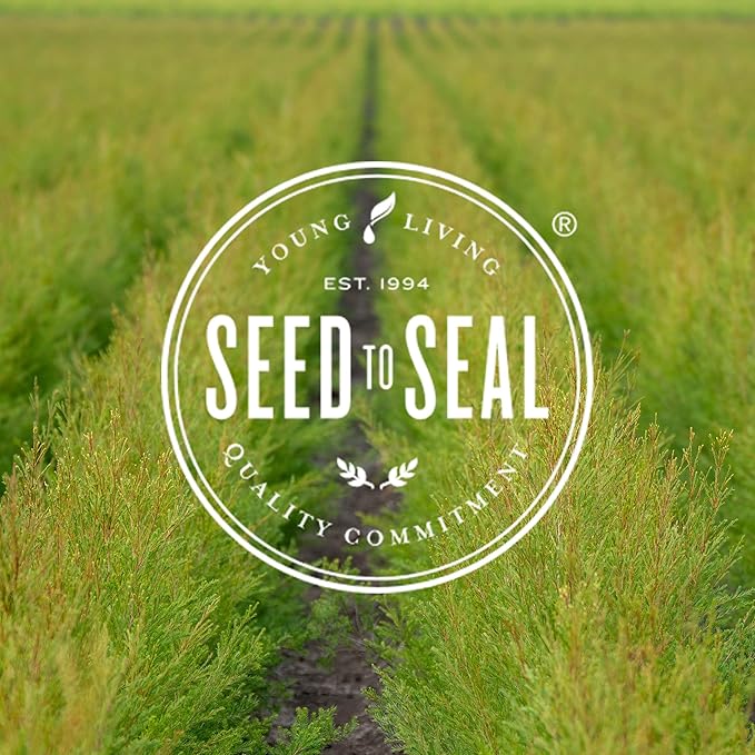 Eucalyptus Radiata Essential Oil 15ml by Young Living Essential Oils