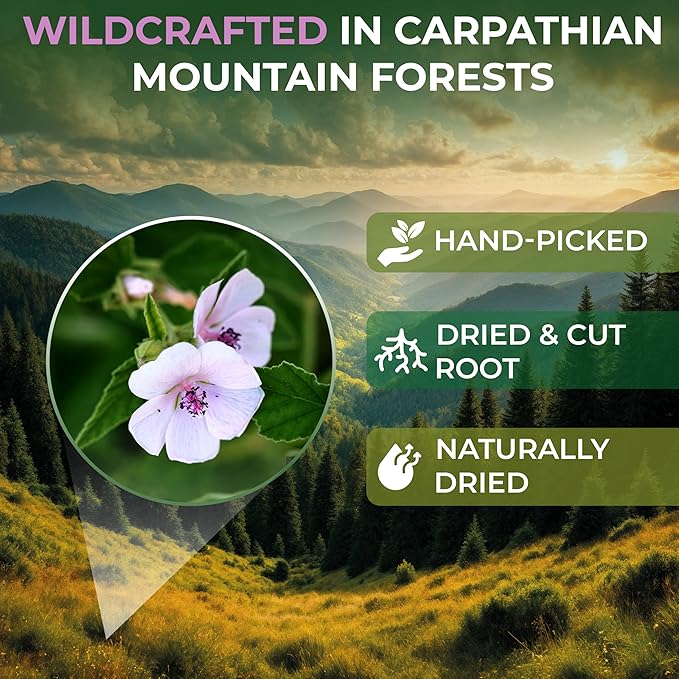 50 Bags Dried Marshmallow Root Tea Marshmallow Root Herb Herbal Tea (Althaea Officinalis) - 50 Count Bags Cut Sifted Herb Raíz De Malvavisco