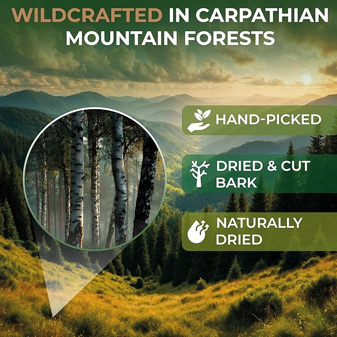4 oz. Birch Bark Herbal Tea (Betulae Gemmae) – 113g Dried Birch Bark Herb Tea Corteza de Abedul