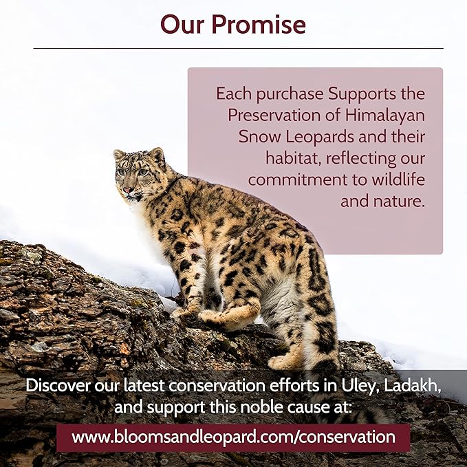 Blooms & Leopard Premium Herbal Tea Bags – Feline Blossom Blend with Hibiscus, Licorice, Fennel, Tulsi & Shatavari – Caffeine-Free Tea – 20 Pyramid Tea Bags, Caffeine-Free for Hot or Iced Tea