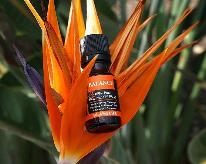 Plantlife Balance Aromatherapy Essential Oil Blend - Straight from The Plant 100% Pure Therapeutic Grade - No Additives or Fillers - Made in California 10 ml