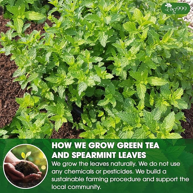 TOG999, Premium Moroccan Mint Green Tea | 60 Tea bags | Traditional Green Tea with Spearmint ā Refreshing Flavor, Premium Quality Herbal Blend. Gluten-Free. Vegan