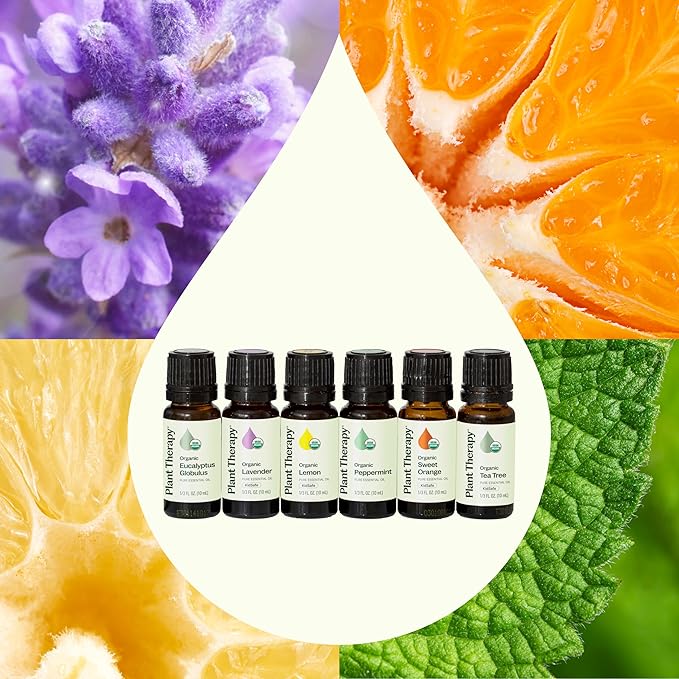 Plant Therapy Top 6 USDA Organic Essential Oil Set - Lavender, Peppermint, Eucalyptus, Lemon, Tea Tree 100% Pure, Natural Aromatherapy, for Diffusion & Topical Use, Therapeutic Grade 10 mL (1/3 oz)