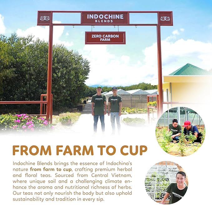 Indochine Blends Ginger Tea Bags | 100% Pure Ginger Root | Sugar-Free, Caffeine-Free Herbal Tea | Double Chamber, Individually Wrapped Bags| Rich in Natural Goodness and Flavor | 3.5 oz | 50 Tea Bags