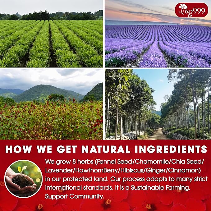 Upgraded Pressure Balance Herbal Tea - 40 Tea Bags, 3.5 oz | Heart Functional Tea | Blend of 9 Natural Herbs | Caffeine-Free, Sugar-Free, Vegan-Friendly (40 Tea bags - 3,5 oz)