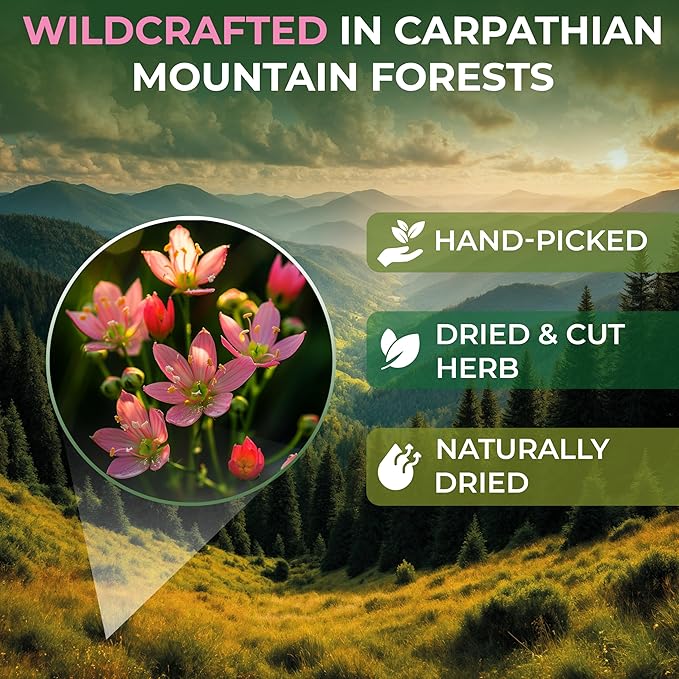 20 Bags Dried Centaury Herb Tea (Centaurii Herba) - 20 Count Centaurium Erythraea Herbal Tea