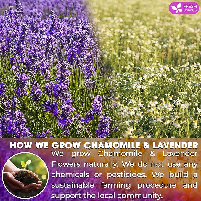 FreshDrinkUS, Premium 135 Chamomile Lavender Tea Bags, 100% Natural Herbal Ingredients, Hand-made Blend of Chamomile Lavender Flowers, Eco-conscious Tea Bags. No Sugar, No Caffeine, No Gluten, Vegan.