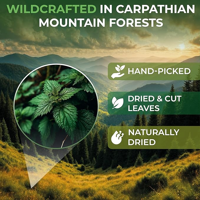 4 oz. Nettle Root Dried Stinging Herbal Tea - 113g Stinging Nettle Root Herb Tea Raíz De Ortiga