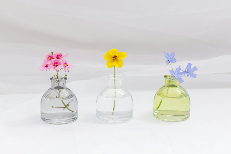 Berrion aromatherapy essential oils, glass bottles and natural sunlight