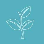 Lark Ellen Farm Sweet and Salty Nut and Seed Trail Mix, Gluten Free Trail Mix Bags, Grain Free Healthy Snacks, Certified Organic, Non-GMO, Paleo, Vegan (8 oz, 3 Pack)