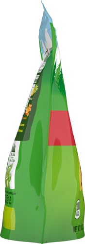 Black Forest Gummy, Bears, Fruit Flavor, Deliciously Juicy, Made with Real Fruit Juice, 10 oz (Pack of 2)