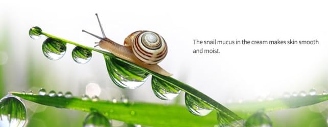 Deoproce Snail Recovery Moisture Hand & Foot Cream | Ultra-Fast Absorbing, Deep Hydration & Repair | Lightweight, Non-Greasy Formula | 100ml