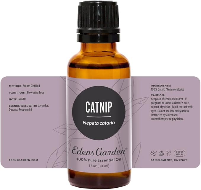 Edens Garden Catnip Essential Oil- 100% Pure Premium Grade, Undiluted, Natural, Therapeutic, Aromatherapy, The Best for Diffuser, Skin, Face, Humidifiers 30 ml (1 fl oz)