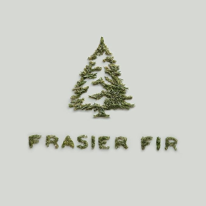 Thymes Frasier Fir Car Diffuser Kit + Refills – Vent Clip Air Freshener + 4 Frasier Fir Diffuser Reeds – Car Air Fresheners with Fresh Scent – Long-Lasting Fragrance