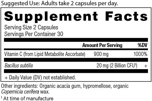 Ancient Nutrition Probiotics and Vitamin C Supplement, Supports Healthy Immune System and Gut Health, Made Without GMOs, Superfoods Supplement, Paleo and Keto Friendly, 30 Servings