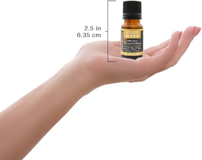 Plantlife Study Buddy Aromatherapy Essential Oil Blend - Straight from The Plant 100% Pure Therapeutic Grade - No Additives or Fillers - Made in California 10 ml