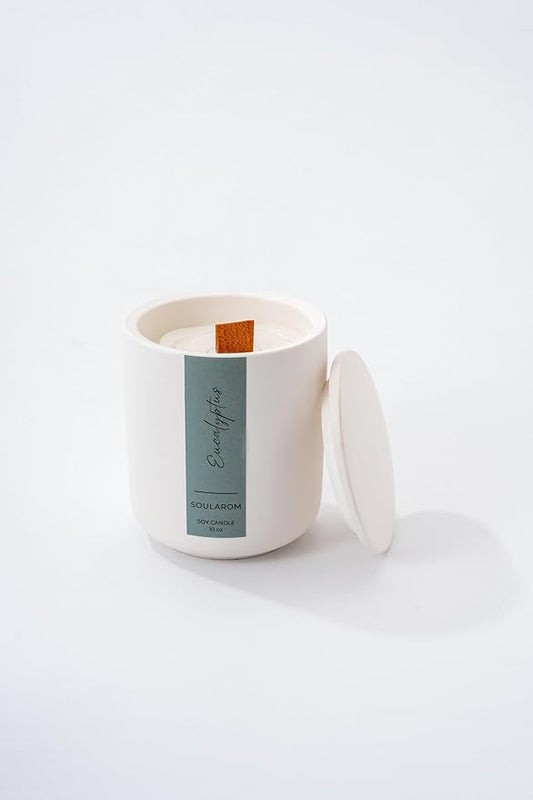 Candles for Home Scented – 10oz Hand Poured Aromatherapy Eucalyptus Candle Soy Wax Candles in Elegant Ceramic Jar – Crackling Wooden Wick Decorative Candle with 60 Hours Burn Time