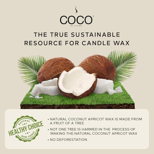 Coco by Stone 6.5oz Candle, Coconut Apricot Wax Candle for Home (Figuier) Home Fragrance Products, 1 Wick Candle, Enhance Indoor Aroma, Vegan & Cruelty-Free, Clean Burning and Hand Poured Candle