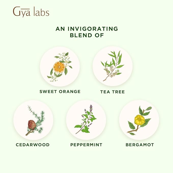Gya Labs Purify Essential Oil Blend for Diffuser & Skin - Fresh & Cleansing Scent for Aromatherapy, Air Freshener (0.34 fl oz)