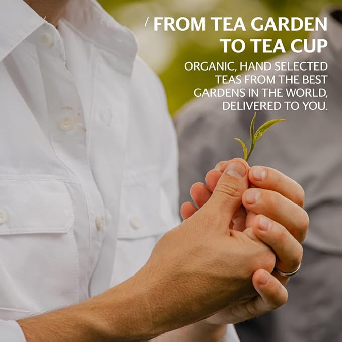 Grace Farms Organic CHAMOMILE CITRUS Herbal Tea (100 Enveloped Pyramid Sachets w/ String & Tag) | Naturally Sweet, Healthy and Caffeine Free | Organic, Fair Trade and Kosher Certified | Gives Back 100% of Profits