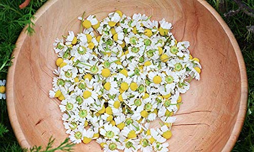 Denise's Fine Tea, USDA Organic, Egyptian Camomile, Herbal Tea, Caffeine-Free, Loose Leaf (100g)