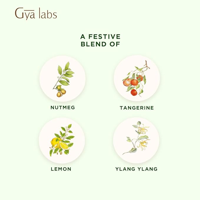 Gya Labs Happy Holiday Essential Oil Blend - Comforting & Uplifting, Festive Season Aromatherapy Oil (0.34 Fl Oz)