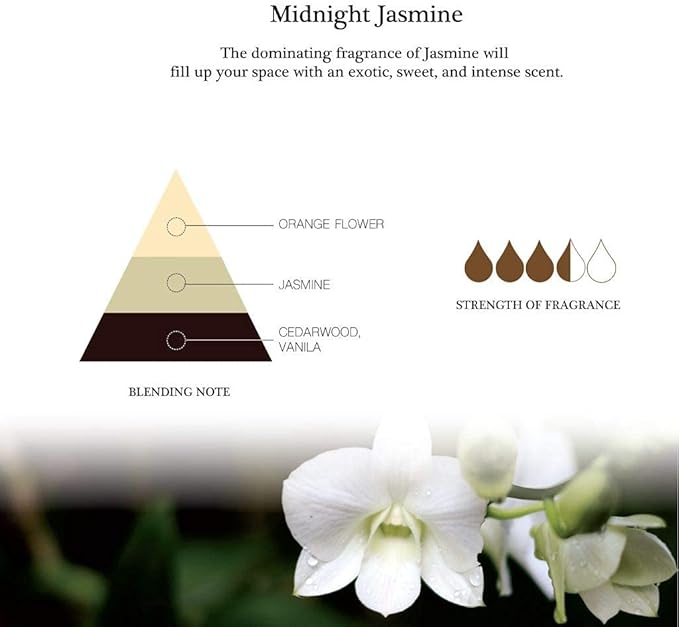 Aronica Mini Sola Flower Diffuser, 40 ml – Midnight Jasmine Scent • Natural Oils • Decorative Home & Gift Diffuser for Small Rooms, Bathroom & Office