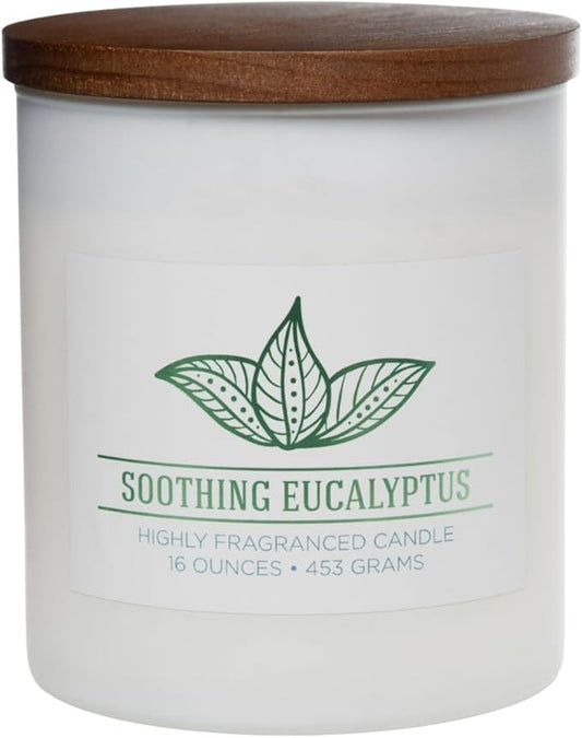 Carolina Soothing Eucalyptus Scented Candle, 16 oz Wellness Relaxing Aromatherapy Candle, 2 Wick White Jar Soy Blend Wax, Candles for Home, 60H Burn - Made in The USA