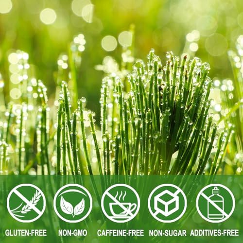 Jarteela - Horsetail Tea Bag, 1.5g x 36 Count - Premium Dried Horsetail Herbs - Cola De Caballo Hierba - Non-GMO - Caffeine-free - Support Bone Health