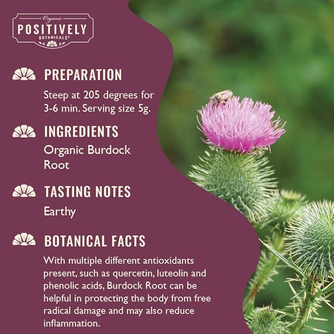 Organic Positively Botanicals Company, Burdock Root, Herbal Tea Loose Leaf Botanical, 16 Ounce